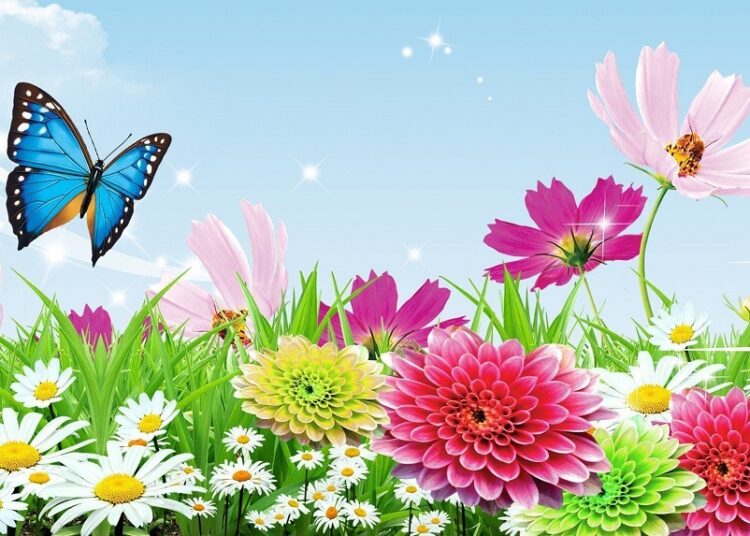 Мастер-класс «Летняя открытка» Мастер-класс «Летняя открытка»