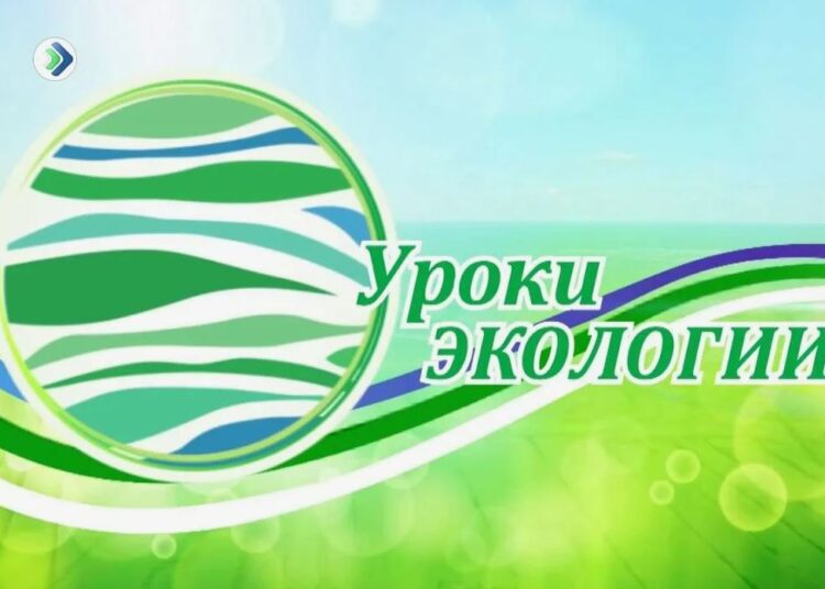 Урок экологии «Секретное досье про лесную братву» Урок экологии «Секретное досье про лесную братву»