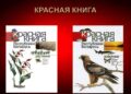 красная книга