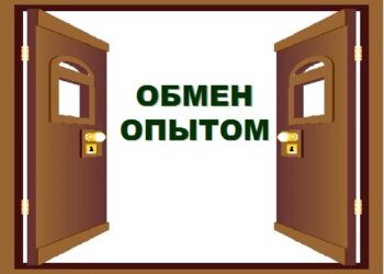 День обмена опытом