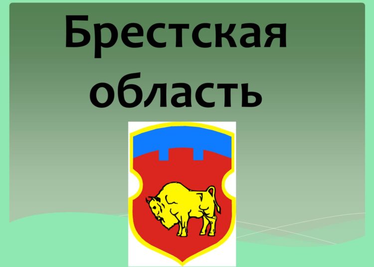 Мероприятия к 85-летию образования Брестской области 8950