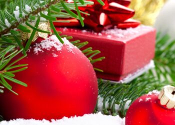 Дрогичинская центральная районная библиотека поздравляет с Новогодними праздниками