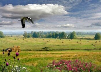 Краеведческая беседа-диалог «Моя районная столица, Дрогичин — тихий городок»