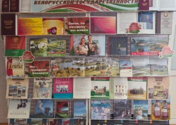 Кніжныя выставы, тэматычныя паліцы і мерапрыемства да Дня Канстытуцыі Рэспублікі Беларусь