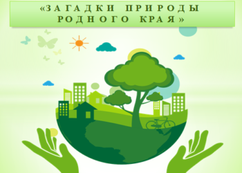 Час занимательной экологии «Загадки природы родного края»