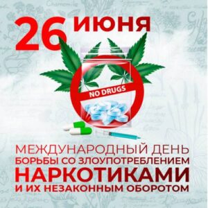 Главная Главная