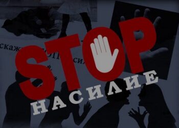 Встреча с социальным педагогом ГУО «Средняя школа № 2 г. Дрогичина» Пигас Людмилой Ивановной