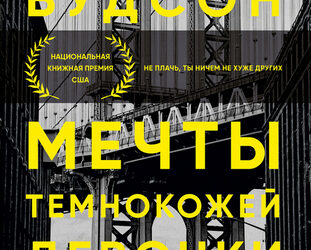 Мечты темнокожей девочки