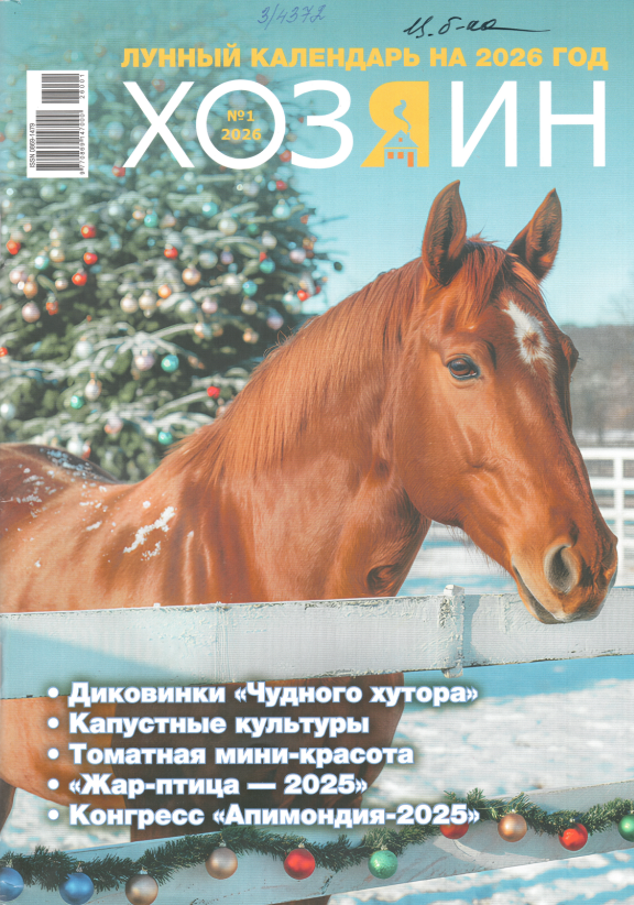 Журналы
