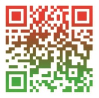 Пятилетка качества 2025-2029