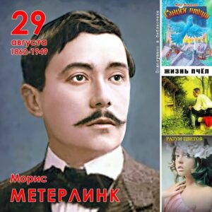 Главная