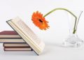 Обзор выставки «Литературный Ералаш» Книги для весеннего чтения