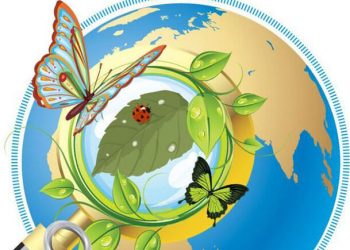 Неделя экологических знаний «Учимся у природы»