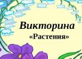 Викторина «Целебные растения вокруг нас»