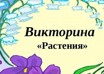 Викторина «Целебные растения вокруг нас»
