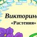 Викторина «Целебные растения вокруг нас»